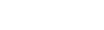 TWIN - EAGLES Logo